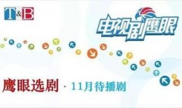 江西卫视热点爆料视频回放,揭秘幕后真相，还原事件全貌